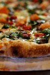 DSC02293.jpg