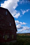 DSC03877.jpg
