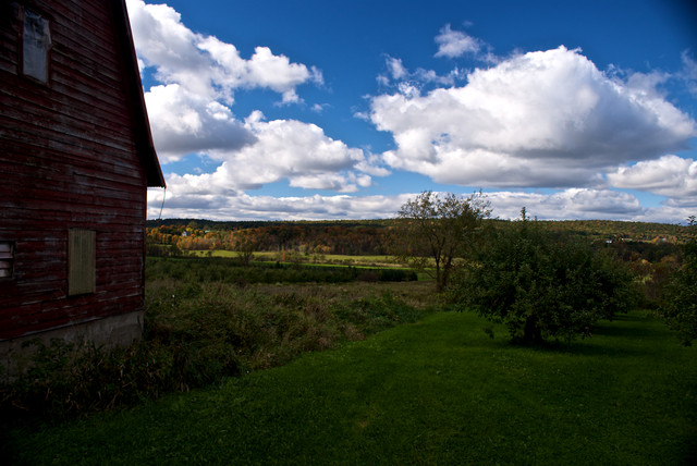 DSC03879.jpg