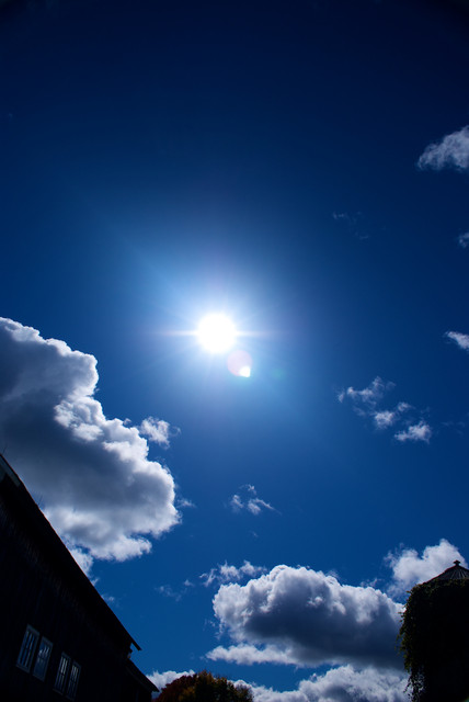 DSC03882.jpg