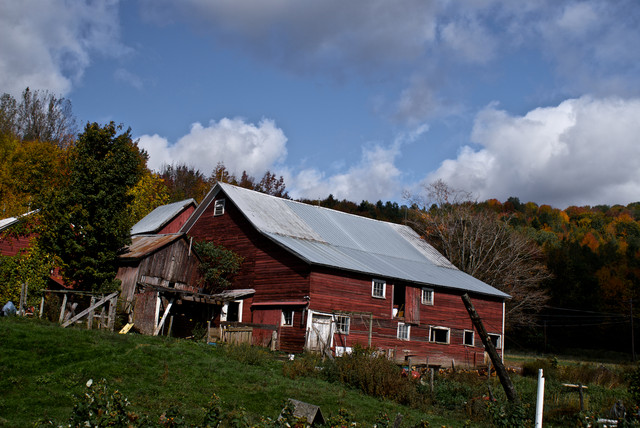 DSC03886.jpg