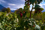 DSC03889.jpg
