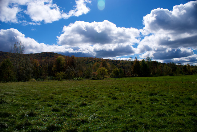 DSC03898.jpg