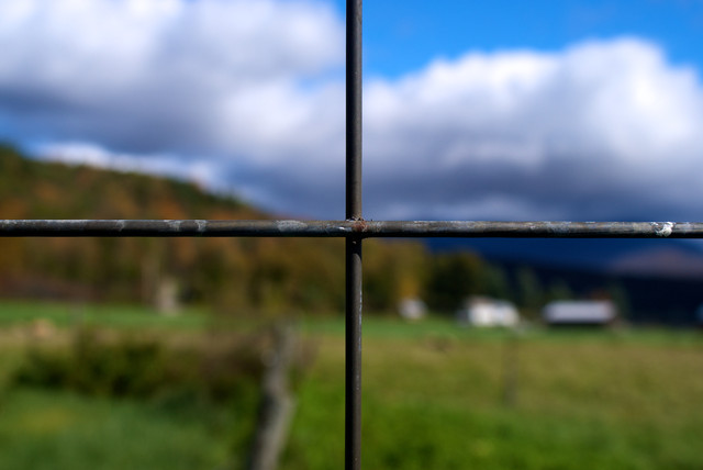 DSC03902.jpg