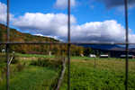 DSC03903.jpg