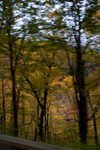 DSC03920.jpg