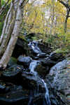 DSC03921.jpg