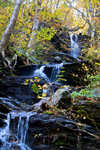 DSC03923.jpg
