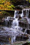 DSC03927.jpg