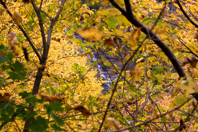 DSC03929.jpg