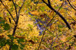 DSC03929.jpg