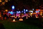DSC02441.jpg