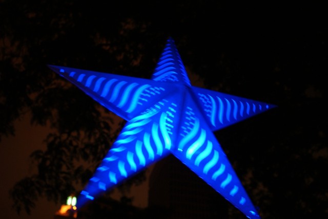 DSC02447.jpg