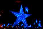 DSC02449.jpg