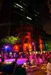 DSC02495.jpg