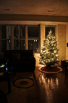DSC01026.jpg