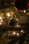 DSC01027.jpg