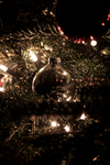DSC01027a.jpg